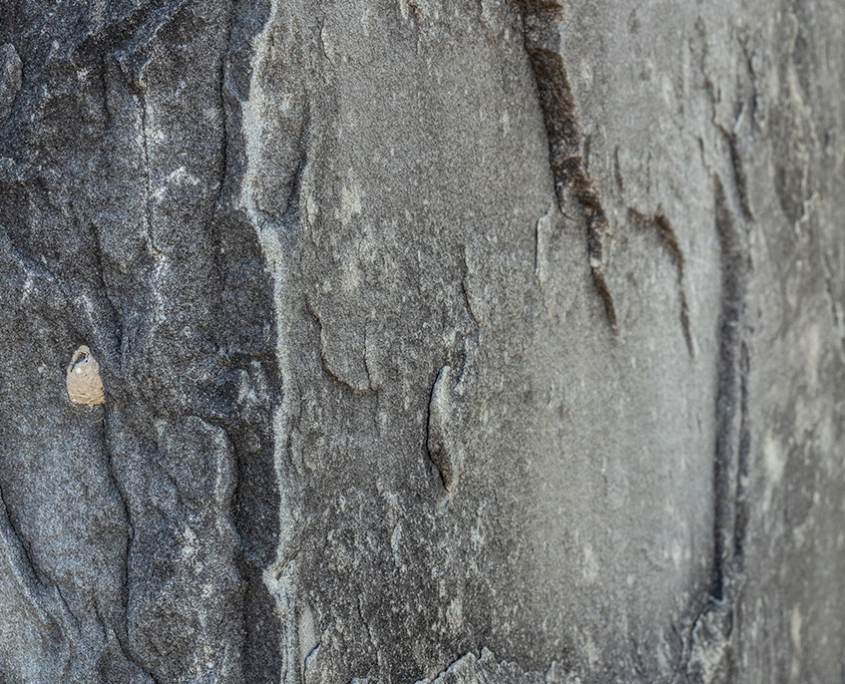 Natursteinmauern mit Barlocher Sandstein, Sichtschutzwand mit Sandsteinplatten