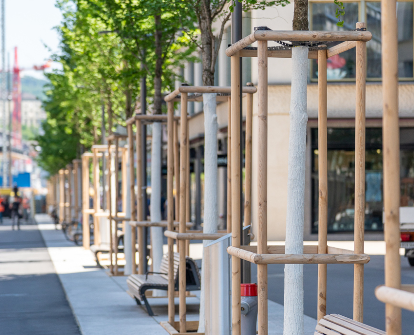 Matter Garten hat Ginkgo Bäume gepflanzt an der Europaalle in Zürich