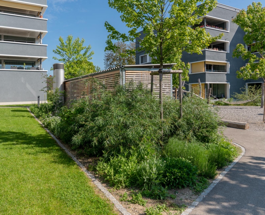 Umgebungsgestaltung Mehrfamilienhäuser - naturnahe Gestaltung