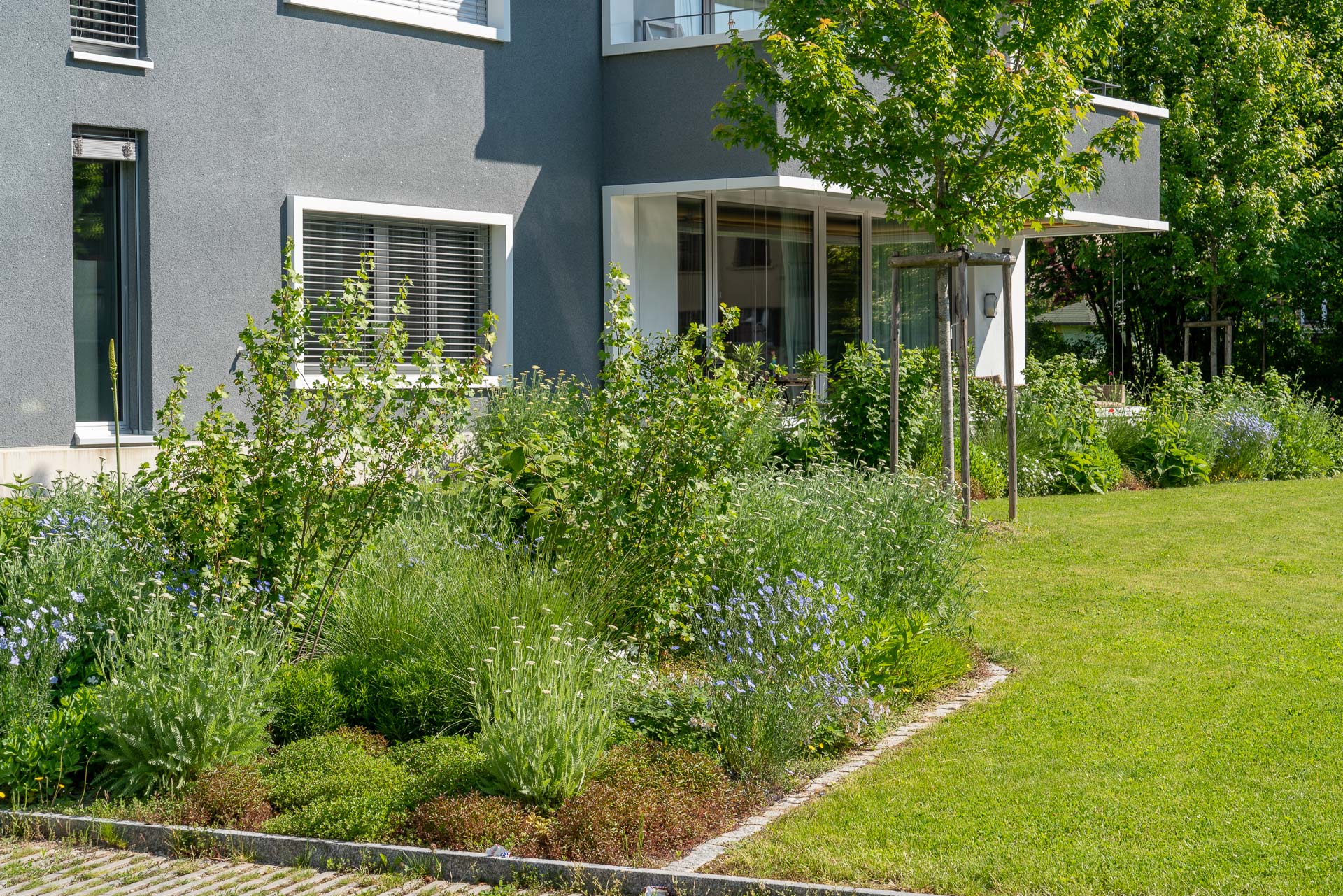 Umgebungsgestaltung Mehrfamilienhäuser - naturnahe Gestaltung
