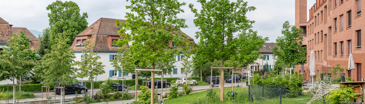 Studentenwohnheim Rosengartenstrasse in Zuerich mit naturnaher Bepflanzung