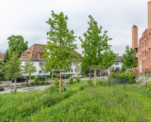 Studentenwohnheim Rosengartenstrasse in Zuerich mit naturnaher Bepflanzung