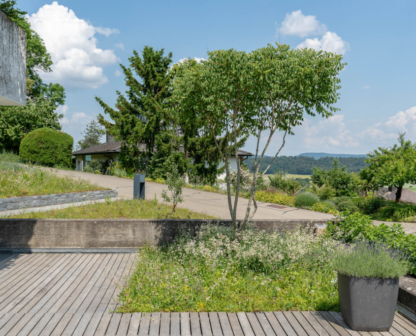 Terrasse mit Holzdeck und Staudenbepflanzung