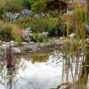 Natürliche Gartengestaltung mit Teich, Biodiversität im eigenen Garten