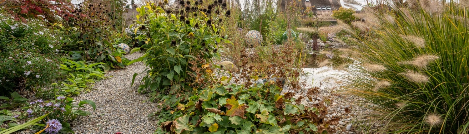 Natürliche Gartengestaltung mit Teich, Biodiversität im eigenen Garten
